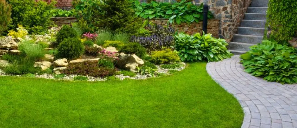 How to design flower beds for your garden