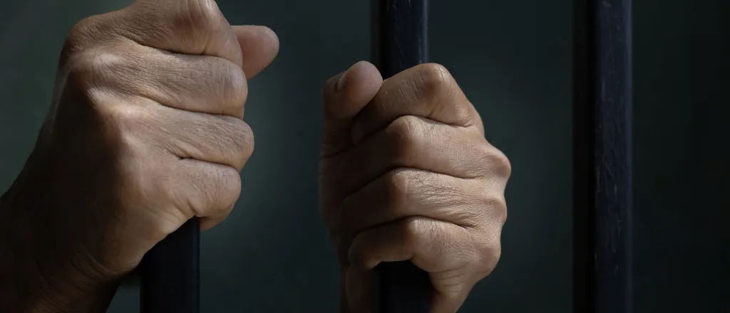 Two hand gripping jail or prison cell bars.