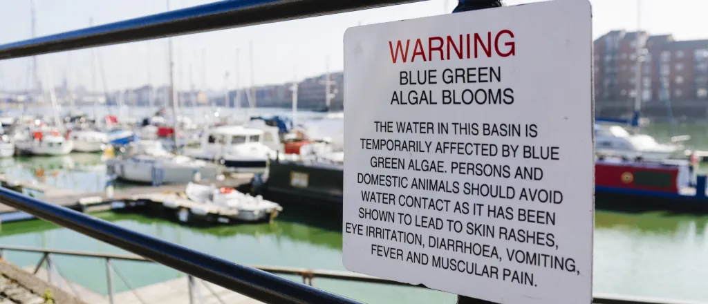 Sign near a body of water with boats warning of the dangers of algal blooms - Stephen Barnes - iStock-1751685698