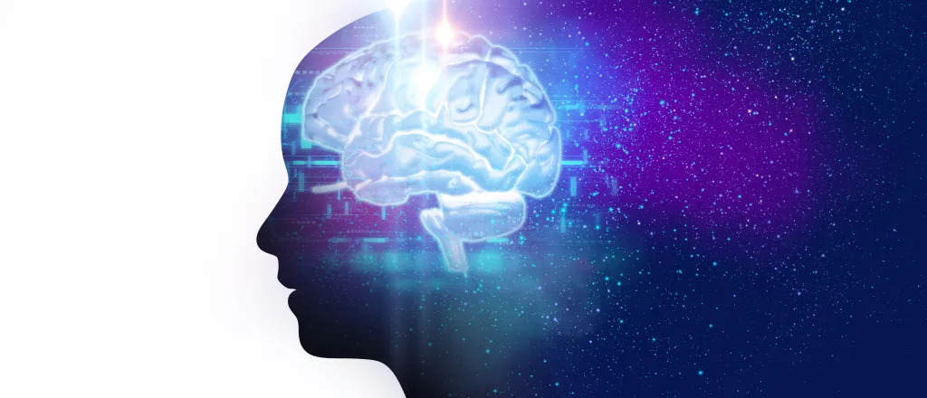 PROMO HIRES Education - Knowledge Bowl Science Brain Learning School - iStock - monsitj Concept image with the silhouette of a human head with a human brain imposed