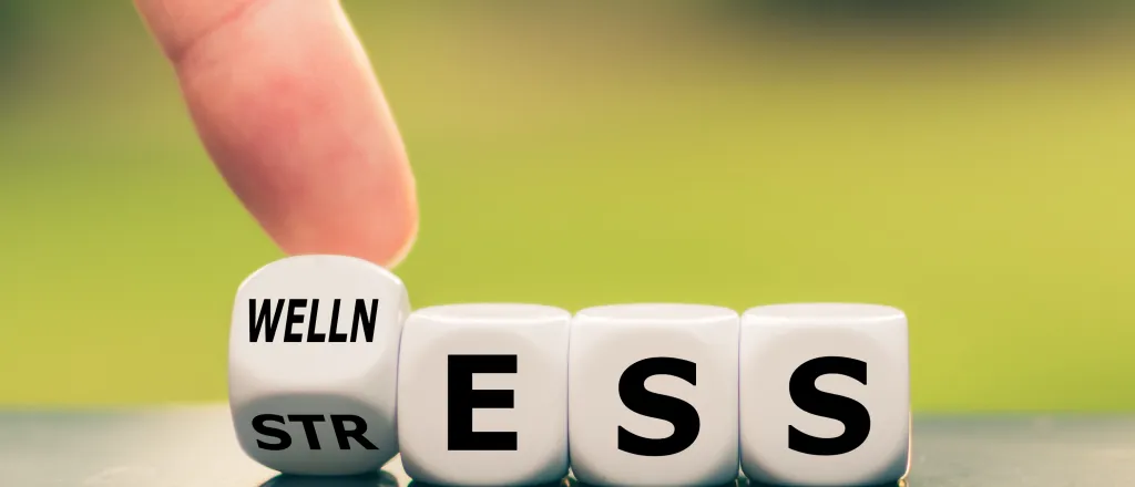 Dice with a finger tipping one to change the word from "Stress" to "Wellness"