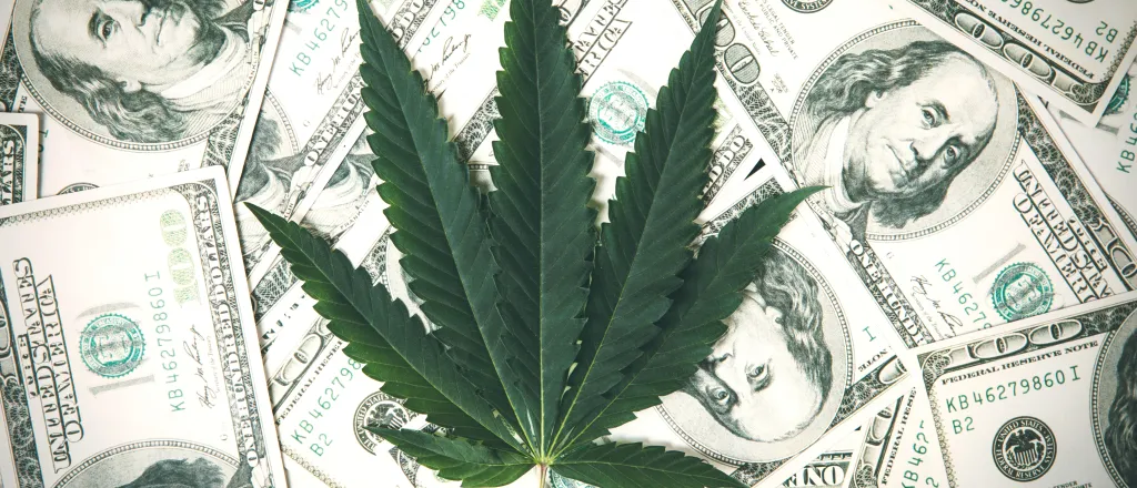 Marijuana leaf over scattered United States one hundred dollar bills