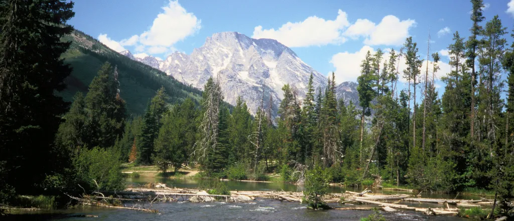 Lake surrounded by pine trees with a mountain in the background.