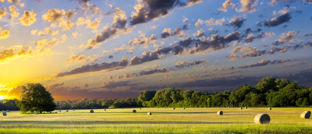 Wide angle shot of a farm field with round bales of hay at sunrise or sunset under a partly cloudy sky.