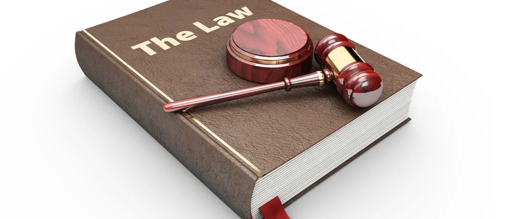 Concept image of a book with the title "The Law" with a gavel and strike plate rest on top.