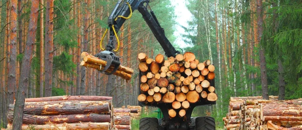 A heavy-duty black truck parked in the forest with chopped logs on the back end. There are logs laying next to the truck.