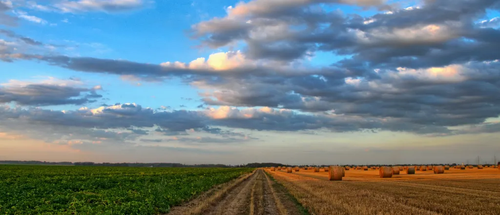 PROMO HIRES Agriculture - Field Crop Hay Round Bale Dirt Road - Pixabay - Wolfgang Borchers Dirt road running between a green, growing field and baled hay.