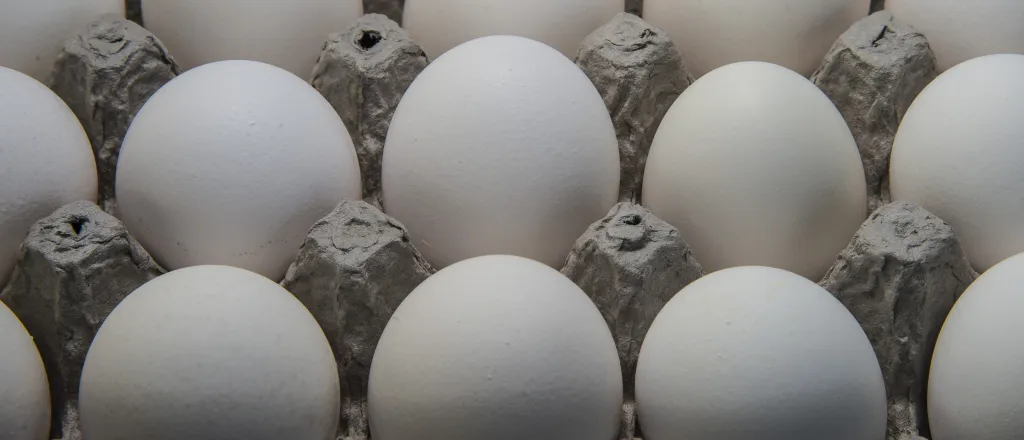 PROMO HIRES Animal - Chicken Eggs Carton - wikimedia A tray of eggs.
