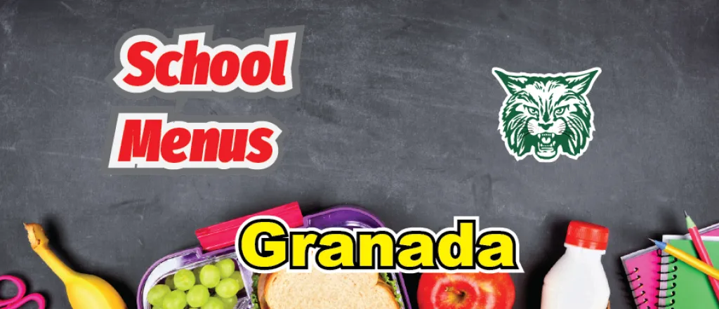 Granada School Menus Concept art for the Granada School Menus