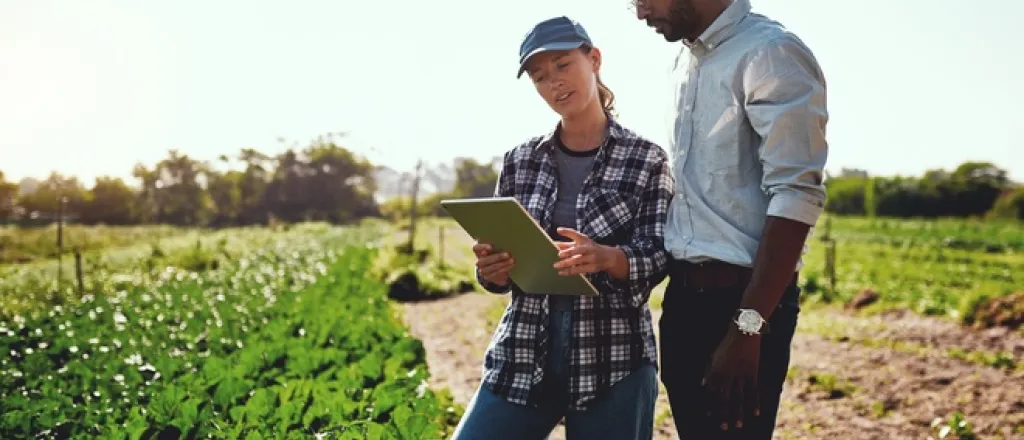 A woman wearing a plaid shirt and a hat, showing a tablet to a man dressed in formal clothes in front of large crops.