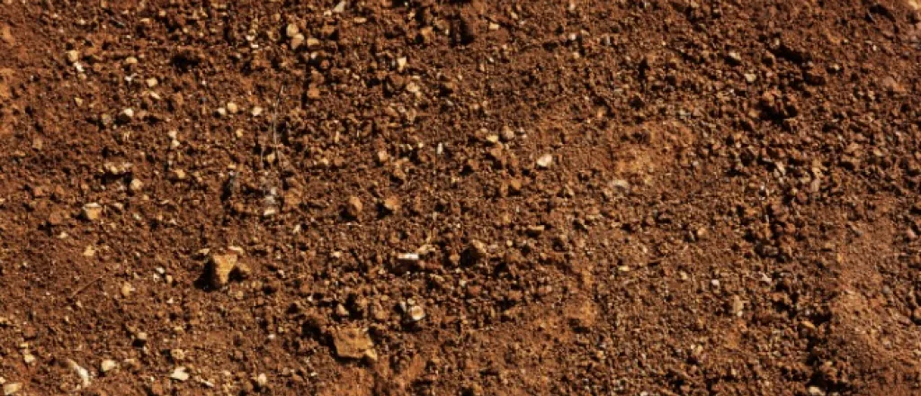 A close view of uneven red soil with small rocks and pebbles scattered unevenly across a rough, dry ground surface.