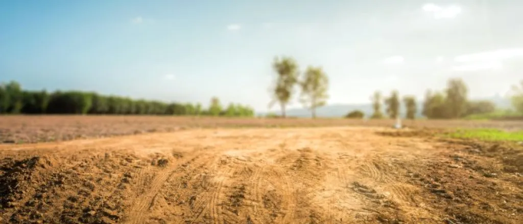 An empty open space of land with dirt and a line of trees in the background. The sky is blue and sunny.