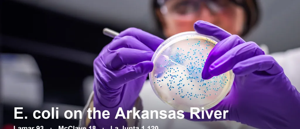 A lab worker in purple gloves holds a petri dish dotted with blue E. coli colonies. Text reads: E. coli on the Arkansas River. Lamar 93, McClave 18, La Junta 1,120. State readings for September 7. Above 235 is not safe for recreation.