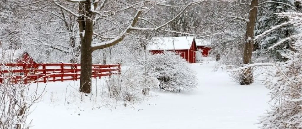 Tips for Surviving Winter on Your Hobby Farm