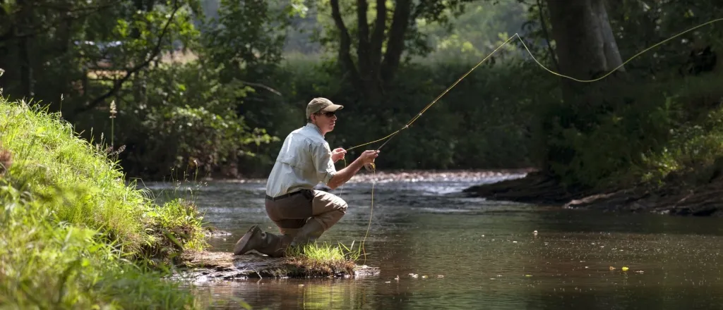 The Best States To Go Fly Fishing in the US