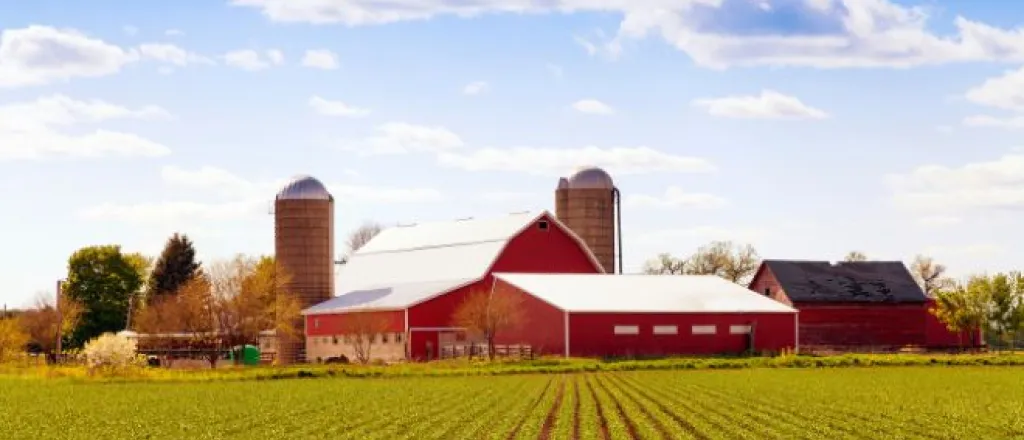 Considerations to take before starting a farm