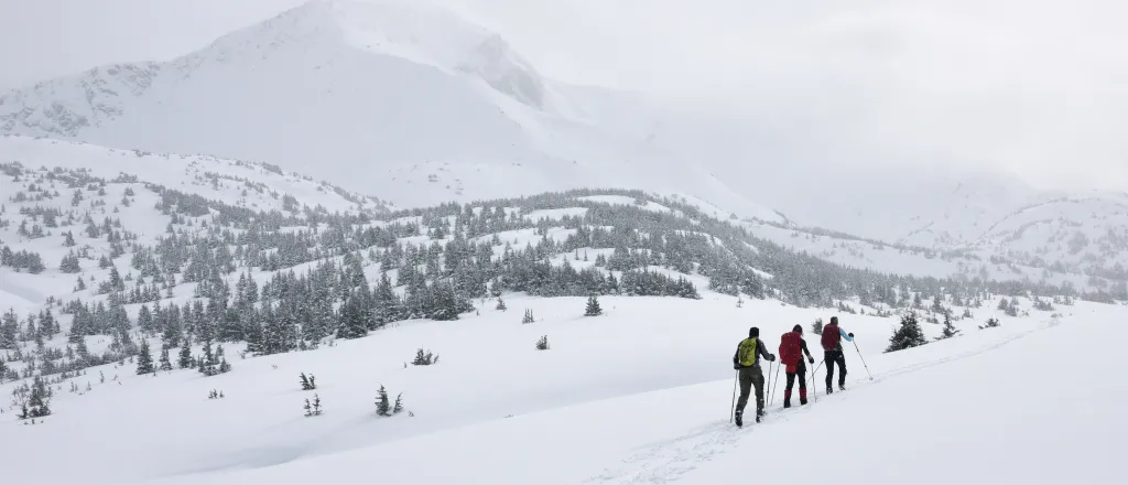 Top Backcountry Skiing