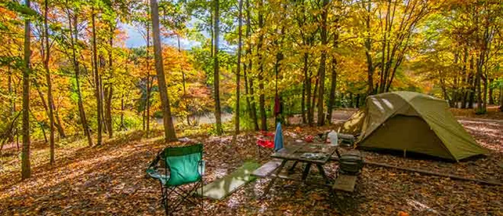 PROMO Outdoors - Camping Tent Trees Forest Recreation - iStock - Matthew H Irvin