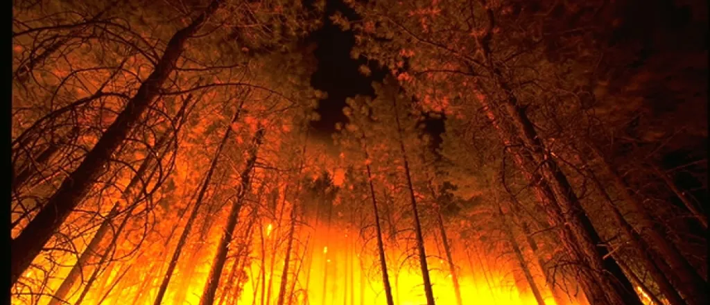 PROMO 660 x 440 Fire - Forest Fire - Wikimedia