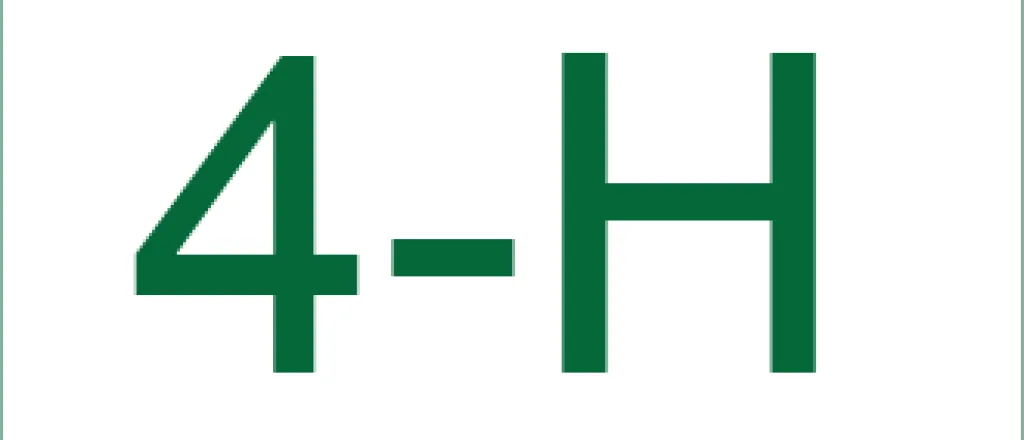 Youth - 4-H