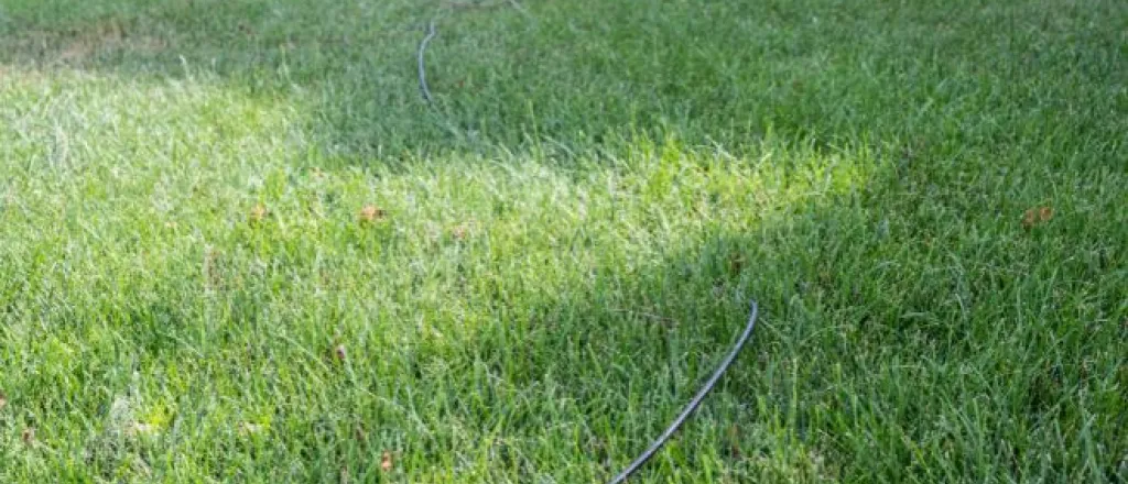 Tips for Running Internet Cables in Your Yard