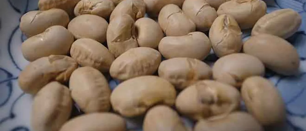 PROMO 64J1 Agriculture - Soybeans - FlickrCC - Toshiyuki Imai