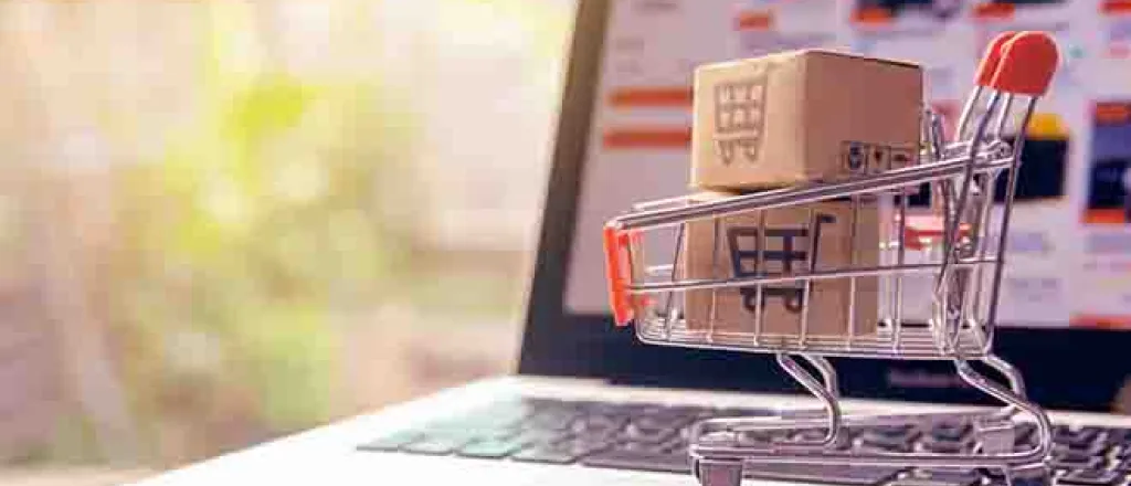 PROMO Business - Shopping Cart Packages Boxes Computer Home - iStock - Tevarak