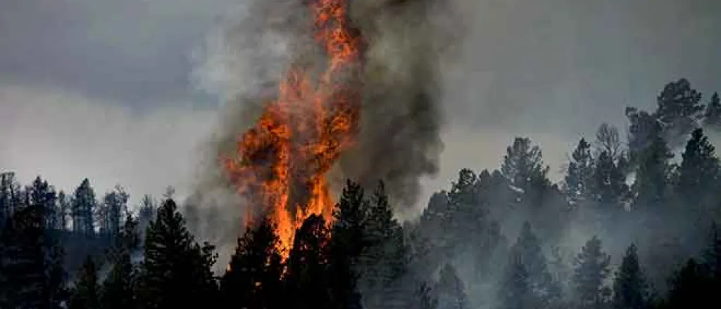 PROMO 64J1 Miscellaneous - Fire Trees Forest Mountains - Pixabay - David Mark PROMO Miscellaneous - Fire Trees Forest Mountains - Pixabay - David Mark