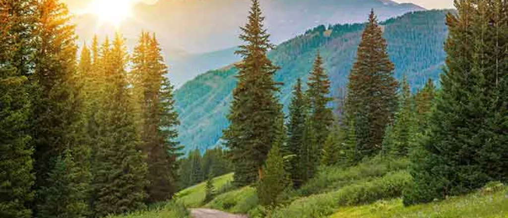 PROMO Outdoors - Mountains Trees Road Landscape Sun - iStock - welcomia