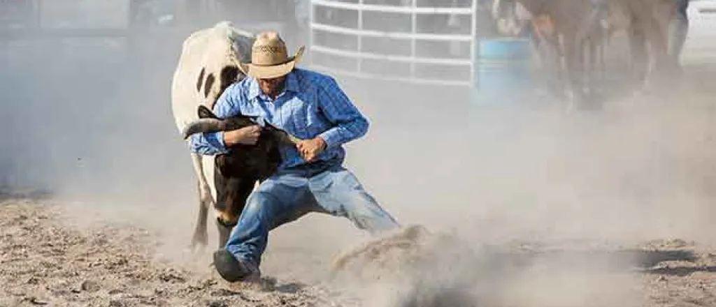 PROMO Rodeo - Cowboy Steer Wrestling Fair Horse - iStock - diane39