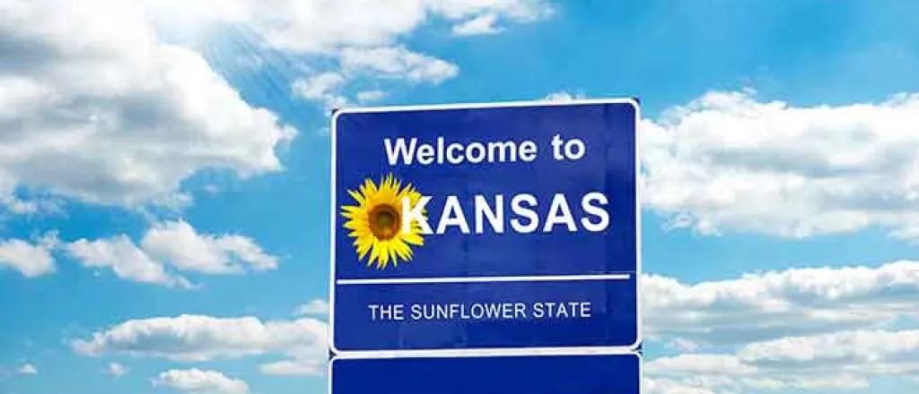PROMO 64J1 States - Road SIgn Kansas Sunflower - iStock - Lady-Photo