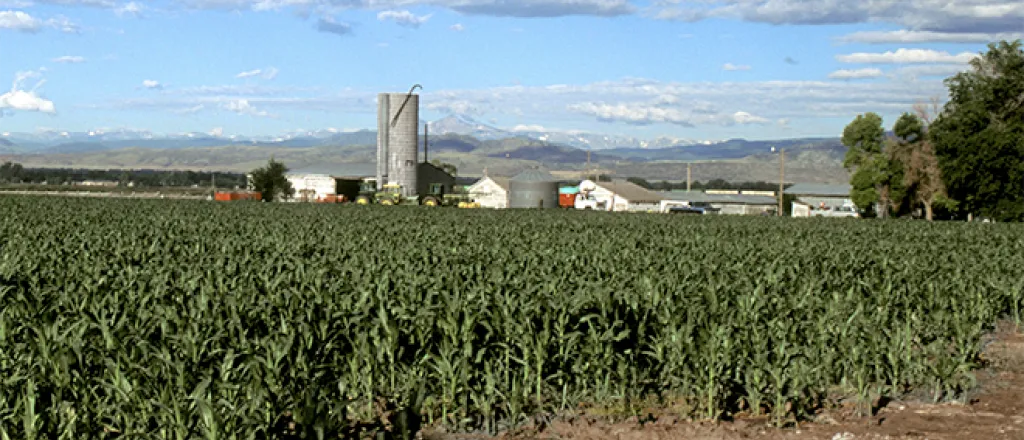 PROMO 660 x 440 Agriculture - Landscape Corn Field Farm Silo Larimer County - wikimedia - USDA ARS - public domain
