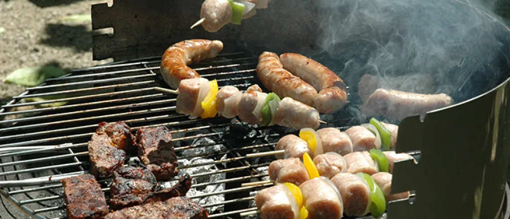 PROMO 660 x 440 Food - Meat Barbeque Grill BBQ - wikimedia - DimiTalen - public domain