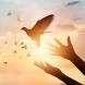 PROMO Faith - Dove Hands Sky Sun Silhouette - iStock - ipopba