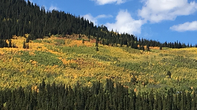 Colorado Parks promotes viewing of fall colors as trees begin annual change