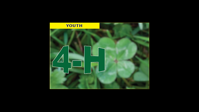 PROMO 4-H PROMO 4-h