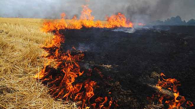 PROMO 660 x 440 Fire - Wheat Stubble Soot Flames - iStock PROMO 660 x 440 Fire - Wheat Stubble Soot Flames - iStock