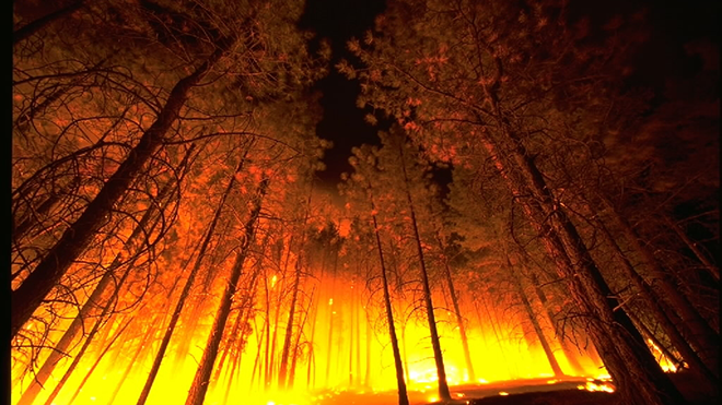 PROMO 660 x 440 Fire - Forest Fire - Wikimedia PROMO 660 x 440 Fire - Forest Fire - Wikimedia