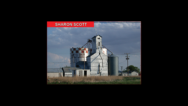 Sharon Scott - Community Columnist Sharon Scott - Community Columnist