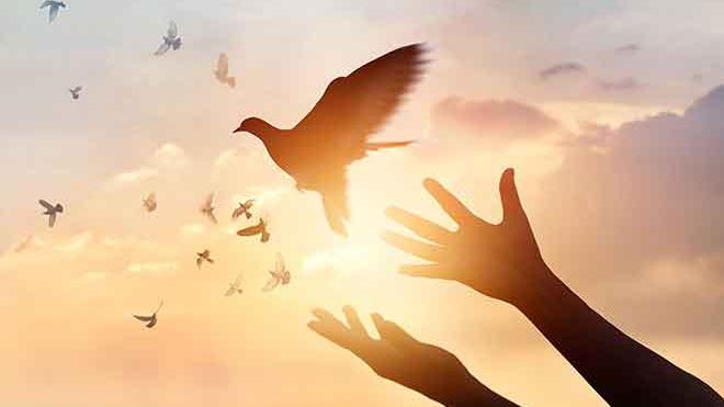 PROMO 64J1 Faith - Dove Hands Sky Sun Silhouette - iStock - ipopba PROMO Faith - Dove Hands Sky Sun Silhouette - iStock - ipopba