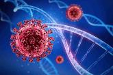 Just how accurate are rapid antigen tests? Two testing experts explain the latest data