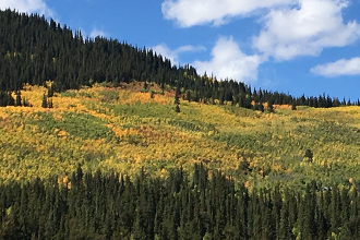 2019 Fall forecast for the United States