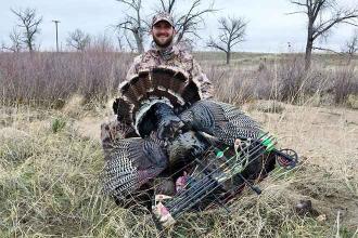 Oklahoma wildlife departments respond to decline in turkey population