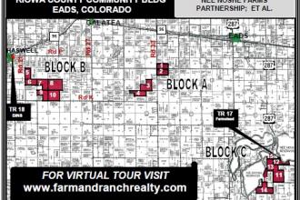 Auction: 7,000+ Acre Crop Land & More