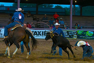 July 30 Deadline for State Fair Fine Arts Entries
