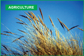 2016 Ag Outlook and Strategy Forums Set in Lamar