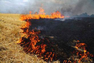 Kansas to waive fees for ranchers and farmers impacted by wildfires
