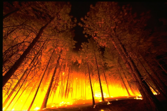 Moving beyond America’s war on wildfire: 4 ways to avoid future megafires