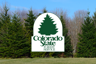Don’t Forget to Water Trees During Drought Conditions