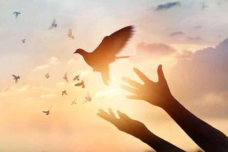 Pastor’s Pearls - October 27, 2019